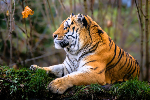 1755978 (a): :2048x1365